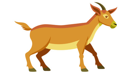 vector illustration of a goat