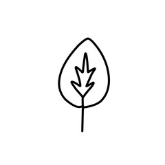 hand drawn leaf outline