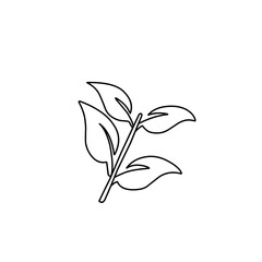 hand drawn leaf outline