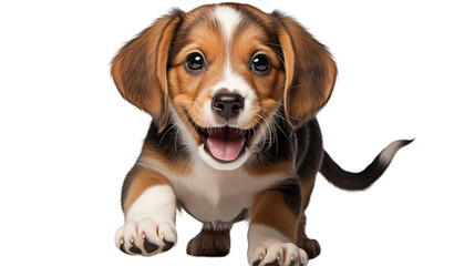 Happy Beagle Puppy Brown and White Fur, Cute and Sweet Young Dog, Joyful Pet Animal.