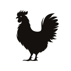 Chicken silhouette vector illustration on white background