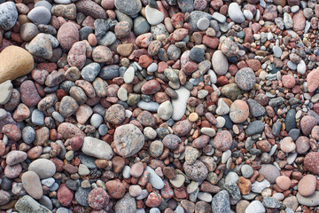 Pebbles of the Baltic sea
