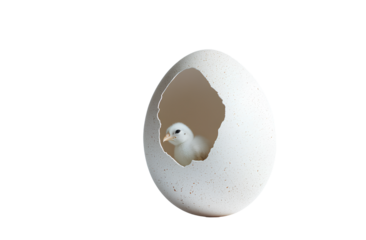 A photograph of an egg with a cutout hole showing a chick inside, against a transparent background png
