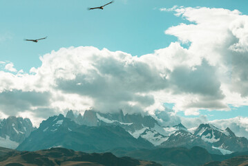 Condor