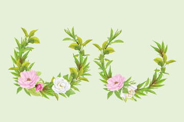 hand drawn poppy anemone background 