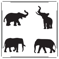  Elephant silhouette, Elephant  illustration ,Elephant clipart, Elephant  vector ,Elephant  icon , black Elephant ,Elephant  illustration on white background, Elephant  vector illustration ,