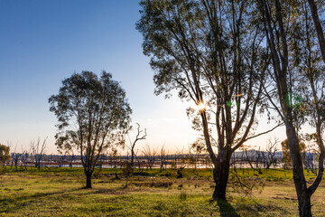 Sunset at the Winton Wetlands, a wetland with stump woods that is home to variety of native flora...