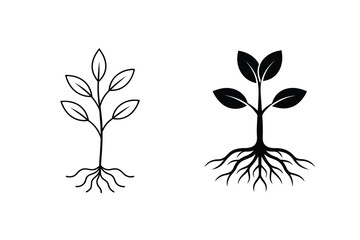 Plant Growth Stages Seedling, Roots, Sprout, Stem, Leaves, Illustration, Icon, Design, Nature, Growth