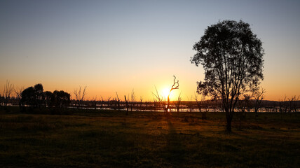 Silhouette sunset at the Winton Wetlands, a wetland with stump woods that is home to variety of native flora and fauna in Victoria, Australia.