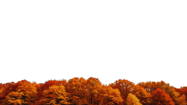 Autumn Forest Canopy, Fall Foliage Border, Orange and Red Trees, Nature Background