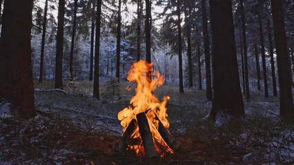Beautiful Crackling Campfire in the Winter Spruce Forest , Authentic Place