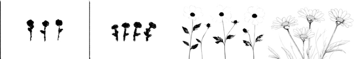 A modern illustration featuring a hand-drawn chamomile ink sketch of a daisy bouquet engraving