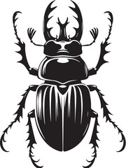 Black Beetle Silhouette Vector, High Quality Illustration on White Background