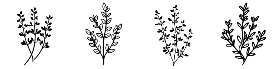 Illustrations of various herb sprigs showcasing intricate leaf designs on a simple background