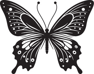 Black Butterfly Silhouette Vector, High Quality Illustration on White Background