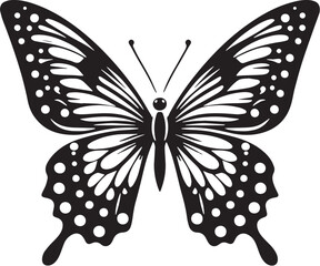 Black Butterfly Silhouette Vector, High Quality Illustration on White Background