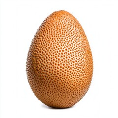 Brown textured egg with a unique speckled surface on a white background, perfect for food photography