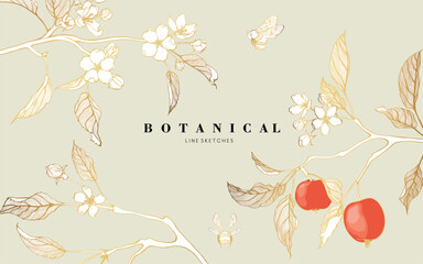 Golden line apple branch. Blooming branch of sakura apple tree.