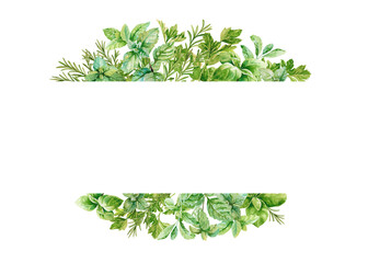 Culinary herbs frame template. Green fresh parsley, mint, basil, rosemary, watercolor branches and leaves isolated on white background for garden, eco, houseplant designs, cards, invitations