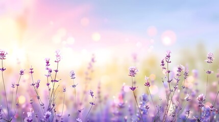 Naklejka premium Dreamy lavender field with a soft soothing floral pattern and delicate blossoms blending into a watercolor gradient This serene peaceful landscape evokes a sense of tranquility and natural beauty