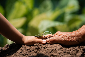 Nurturing growth a child and elder planting together in nature's embrace close-up emotional connection