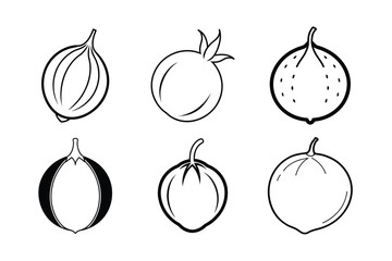 Langsat – Lansium parasiticum line art vector illustration