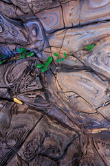 Incredible erosion patterns on rocks along the shore, Thailand