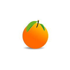 Single Orange Fruit Illustration with Leaves on White Background
