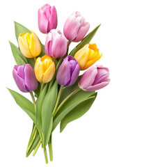 Obraz premium Vibrant Tulip Bouquet: A delightful arrangement of colorful tulips in full bloom, with shades of pink, purple, and yellow, is a cheerful symbol of spring, nature, and beauty.