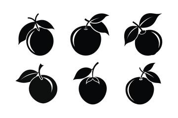 Loquat – Eriobotrya japonica
