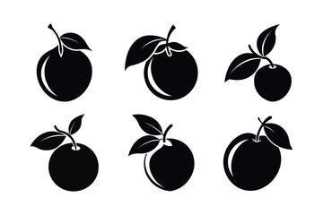 Loquat – Eriobotrya japonica
