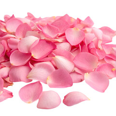 Obraz premium Pink rose petals scattered isolated on transparent background
