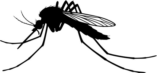 mosquito silhouette, black and white illustration, insect vector graphic, minimalist design, detailed wings, long legs, thin antennae, side view, simple shape, pest icon, entomology illustration 