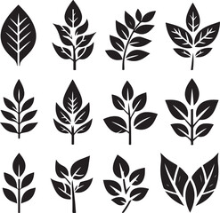 Black and white leaf icon silhouette vector set