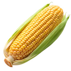 Corn isolated on transparent background