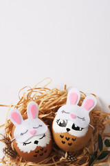 Hand painted eggs sleeping owls in sleep masks in a nest with quail eggs. Space for your text.