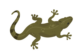 A cartoon-style lizard with a green body and a striped tail, depicted from a top-down perspective on a white background. Animal, reptile, and nature concept. Vector illustration