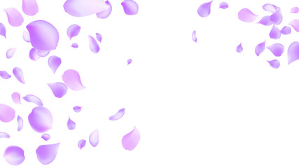 Rose petals or sakura flying petals, romantic background with realistic pink cherry flower petals flow or falling motion. Love, romance, floral spring season,cherry blossom