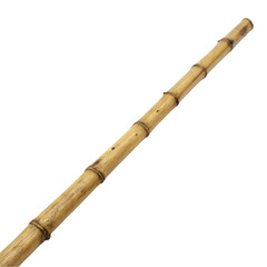 Bamboo trunk stick isolated on transparent background