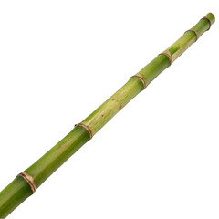 Fototapeta premium Bamboo trunk stick isolated on transparent background