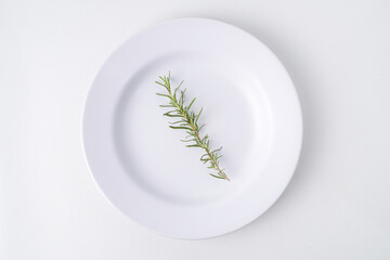 a Rosemary herb lain on empty white colored round shaped plate. Isolated on white background. Flat Lay Setup