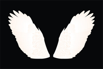 Realistic white bird wings vector .