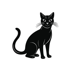 vector illustration of a black cat