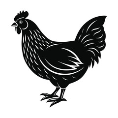 hen and rooster vector illustration