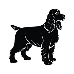 cocker spaniel dog vector illustration