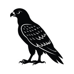eagle on a white background vector illustration
