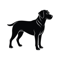 Obraz premium black labrador retriever vector illustration