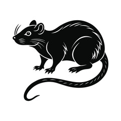 vector illustration of a rat