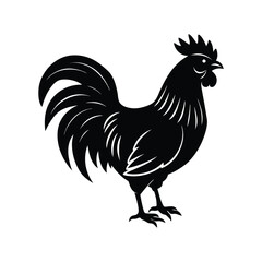 rooster vector illustration
