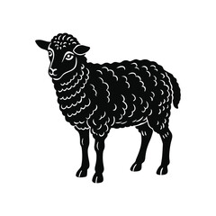 vector illustration of sheep
